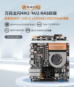 CW-NAS-AR-SFP+ 万兆全闪nas主板