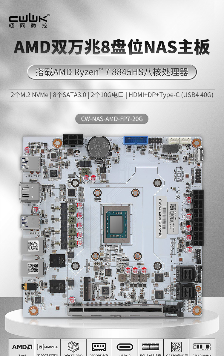 CW-NAS-AMD-FP7-20G 双万兆8盘位NAS主板
